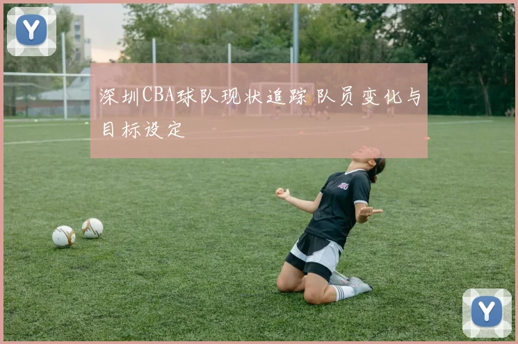 深圳CBA球队现状追踪 队员变化与目标设定
